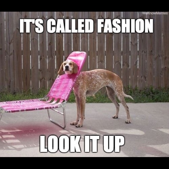 Meet your Posher, Ryan - Picture 1 of 1